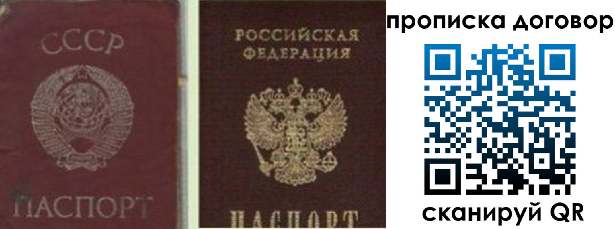 прописка гарантия в Междуреченске